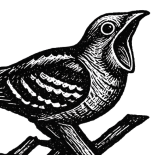 nightbirdceramics
